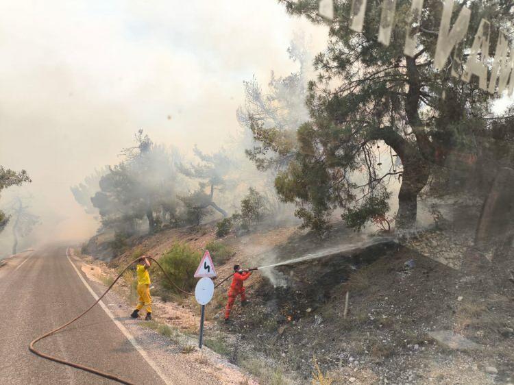 Gaziantep Büyükşehir'den Nurdağı'nda çıkan orman yangınına müdahale