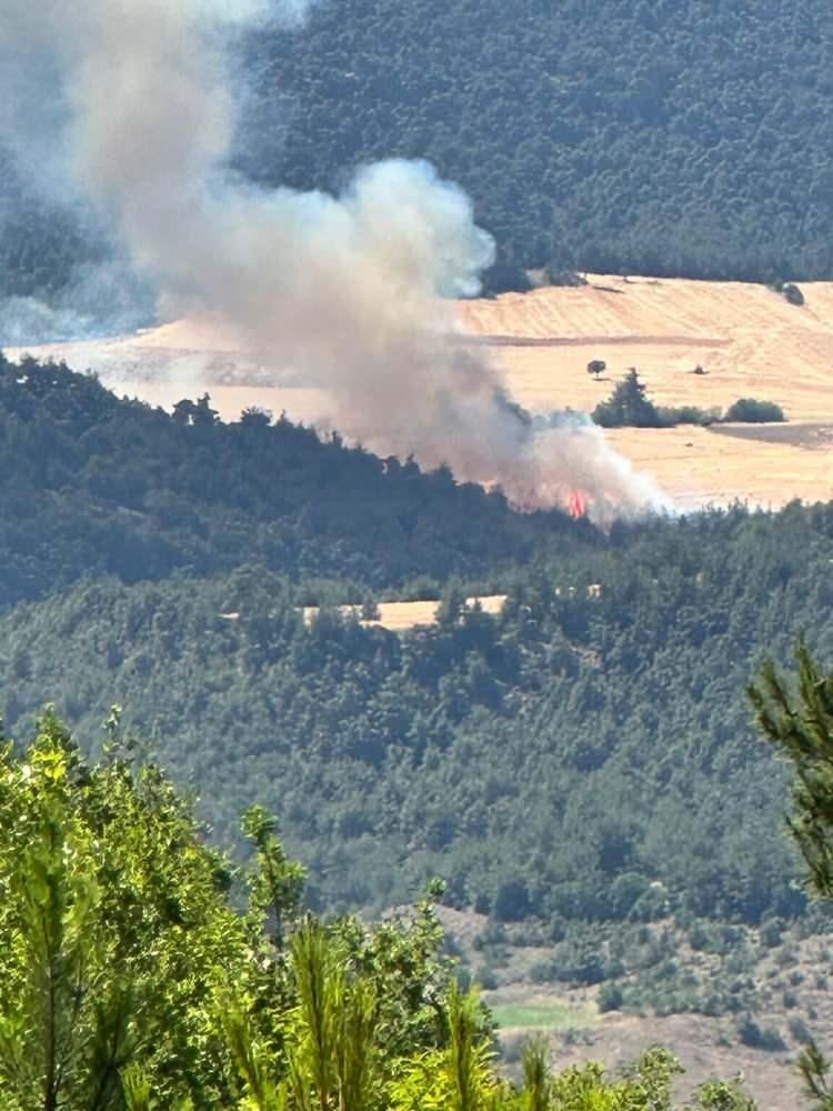 Gaziantep Büyükşehir'den Nurdağı'nda çıkan orman yangınına müdahale