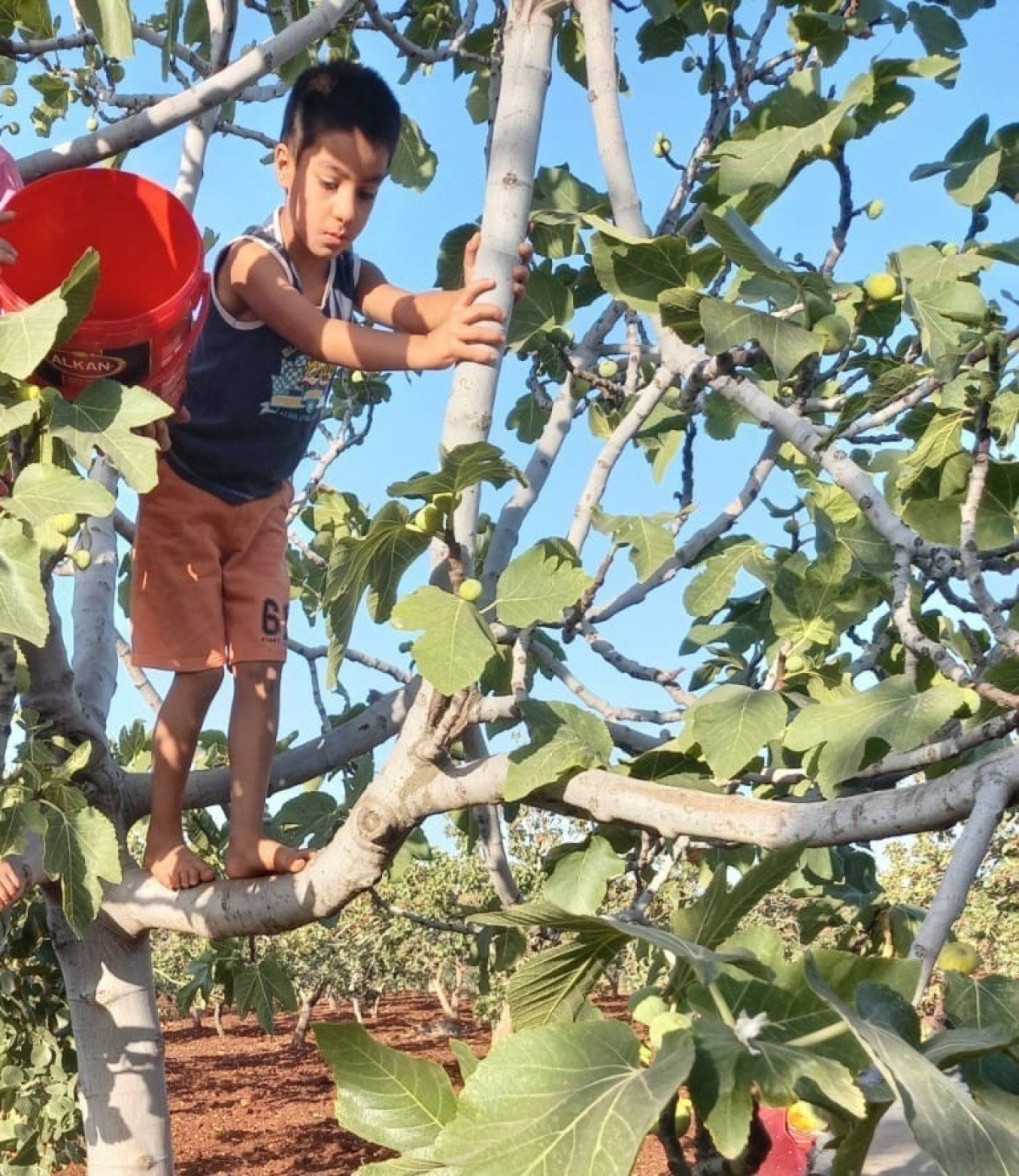 Gaziantep'te 16 gündür aranan otizmli Onurcan'ın cansız bedeni bulundu