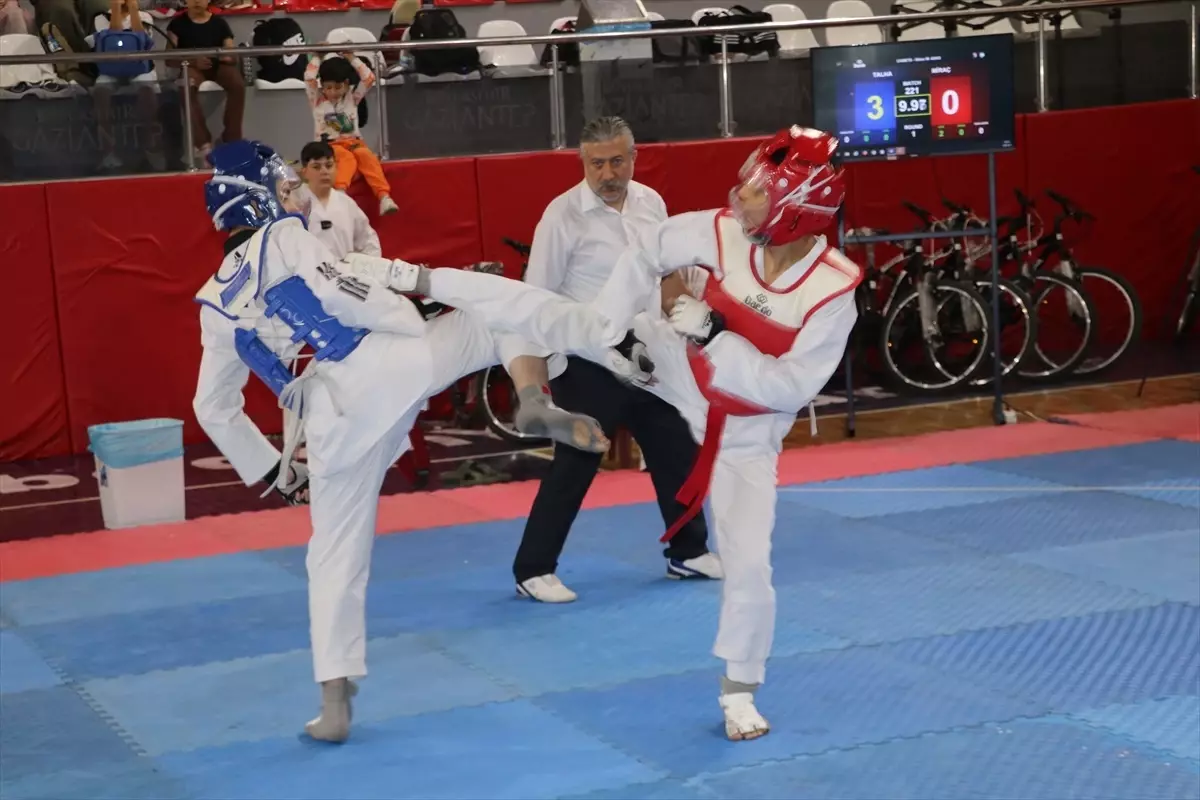 Seçmelerin Detayları