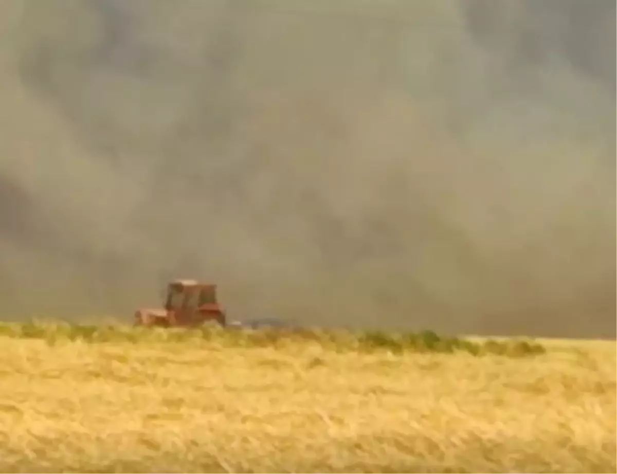 Gaziantep'te Anız Yangını 100 Dönüm Alanı Kül Etti