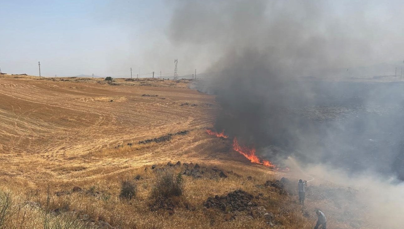 Gaziantep'te anız yangını: 300 dönüm alanda etkili oldu