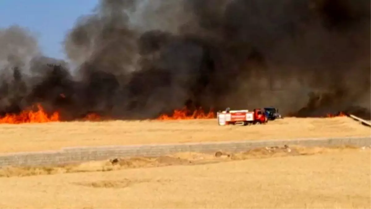 Gaziantep'te Buğday Tarlası Yandı