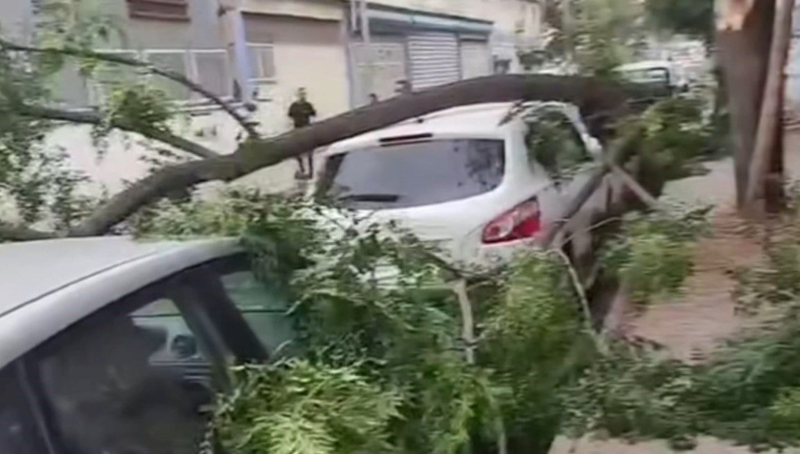 Gaziantep'te fırtına: Ağaçlar araçların üzerine devrildi