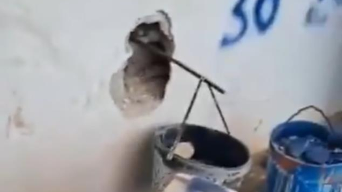 Gaziantep'te kurban satış yerinde kantar hilesi ortaya çıktı