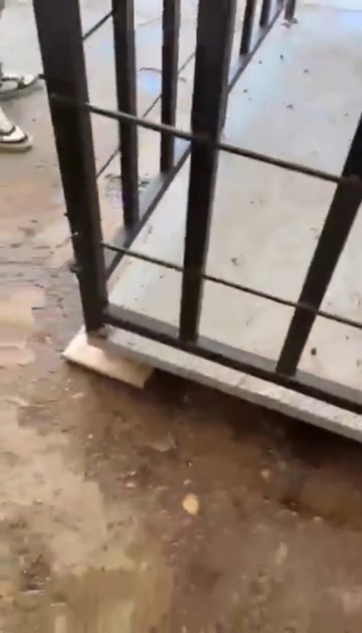 Gaziantep'te kurban satış yerinde kantar hilesi ortaya çıktı