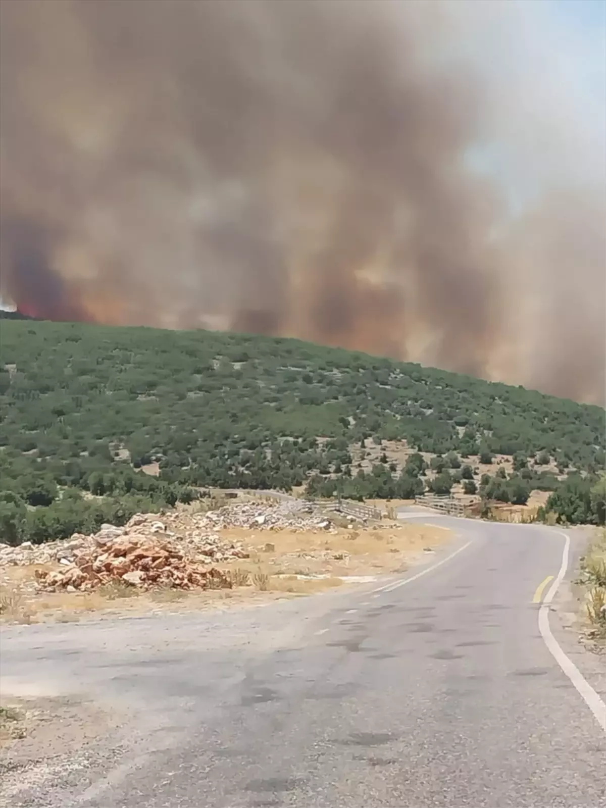 Gaziantep'te Orman Yangını