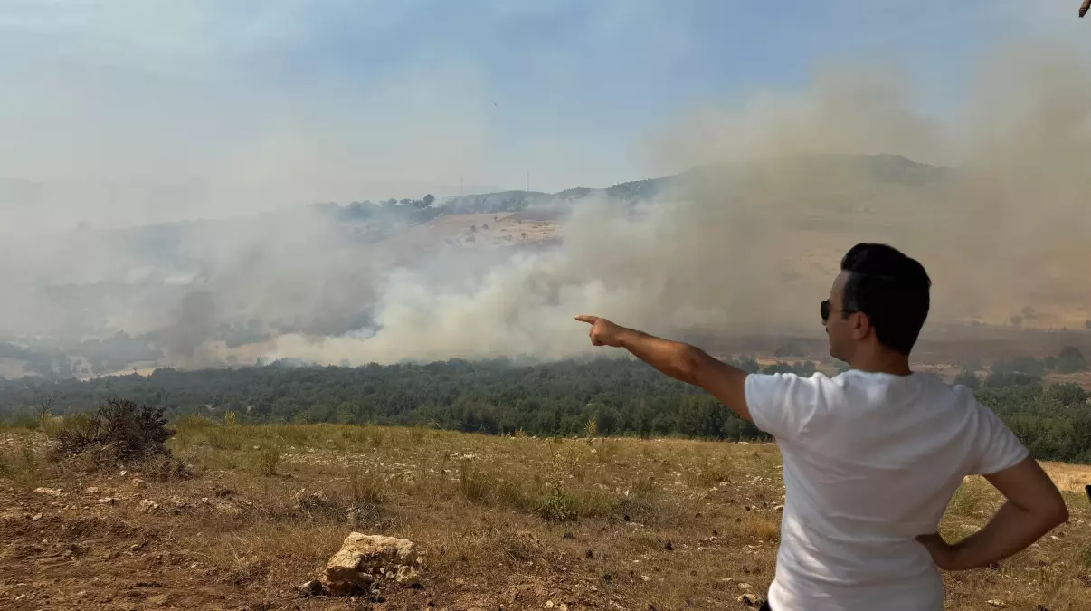 Gaziantep'te Orman Yangını 7 Saatte Kontrol Altına Alındı