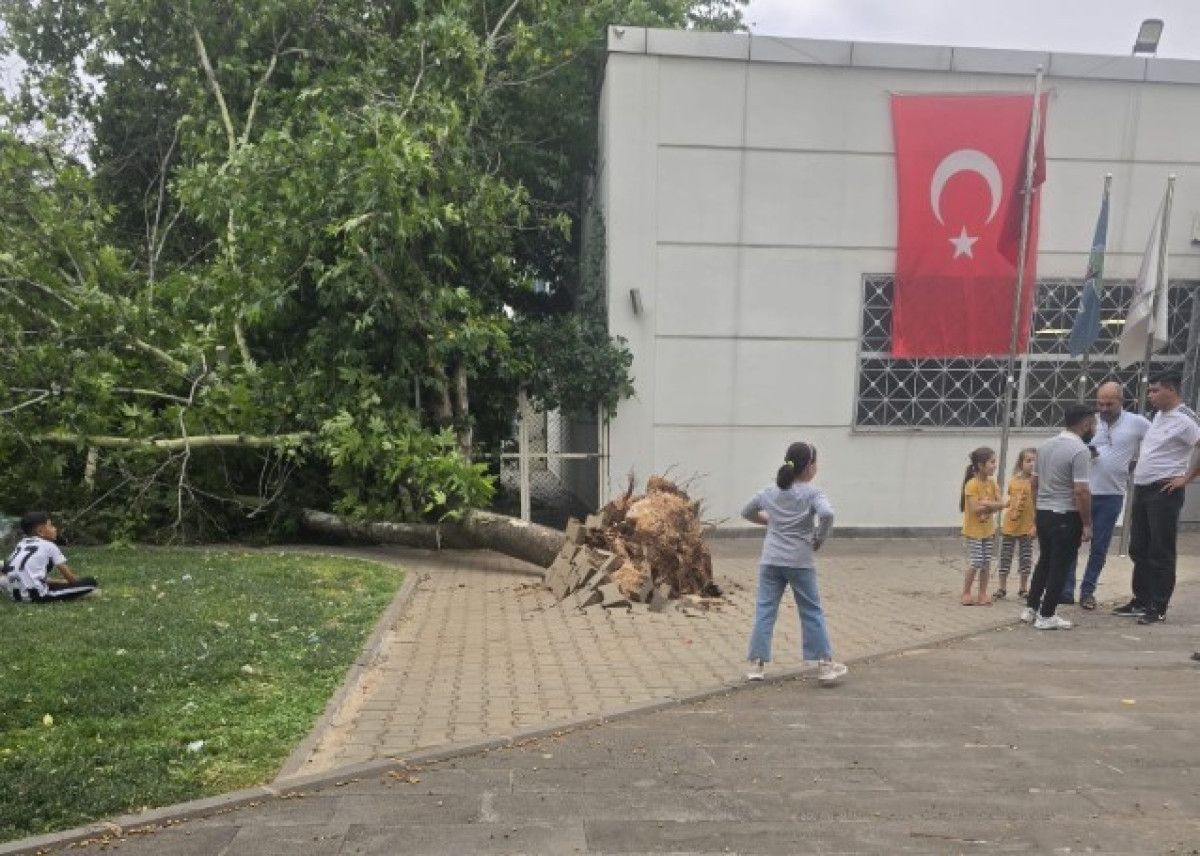 Gaziantep'te şiddetli fırtına: Ağaçlar devrildi, araçlar zarar gördü