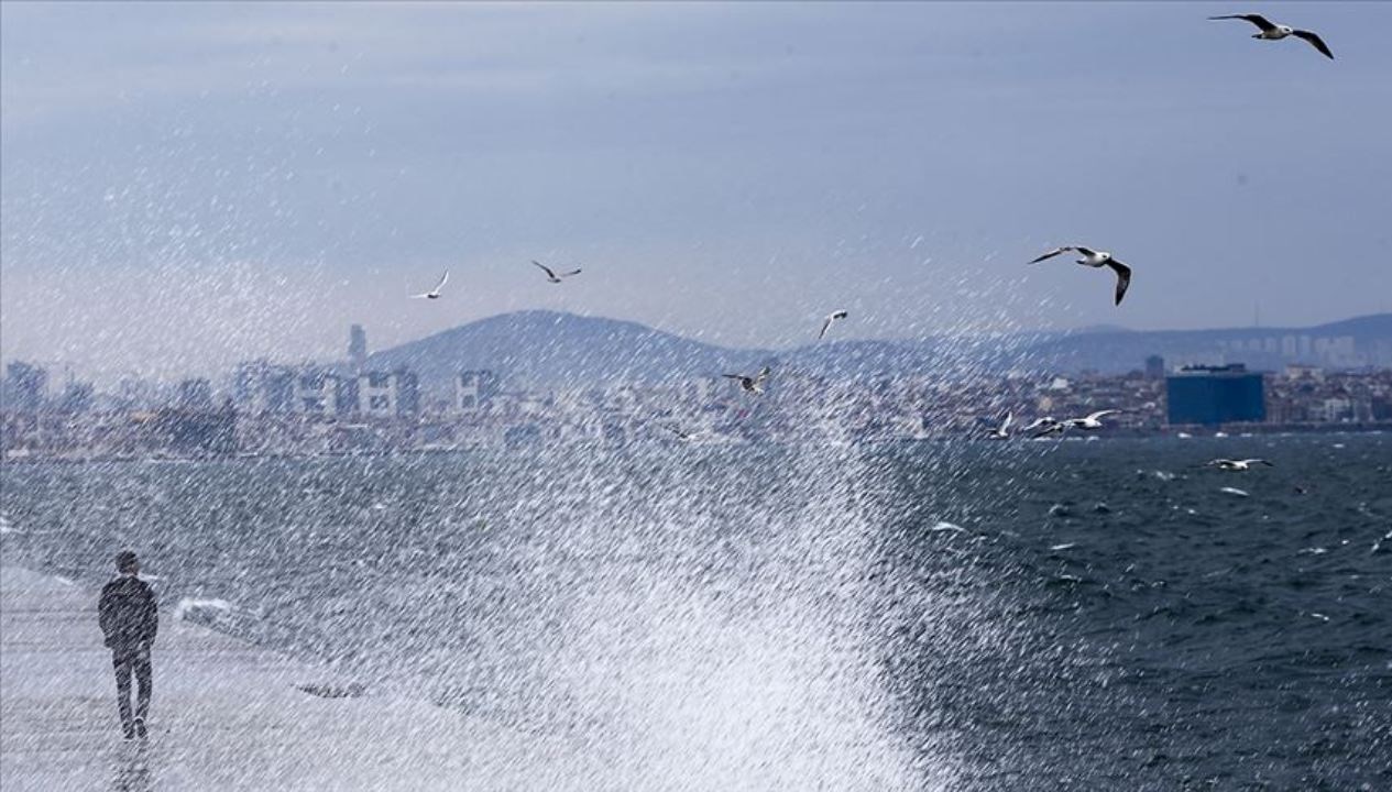 İçerik Başlığı