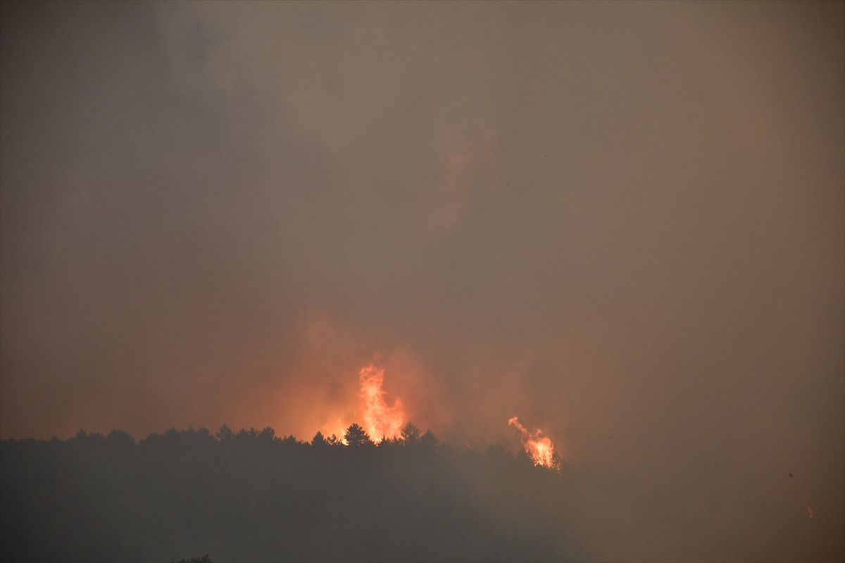 İletişim Başkanlığı'ndan ülke genelinde meydana gelen yangınlar hakkında bilgilendirme