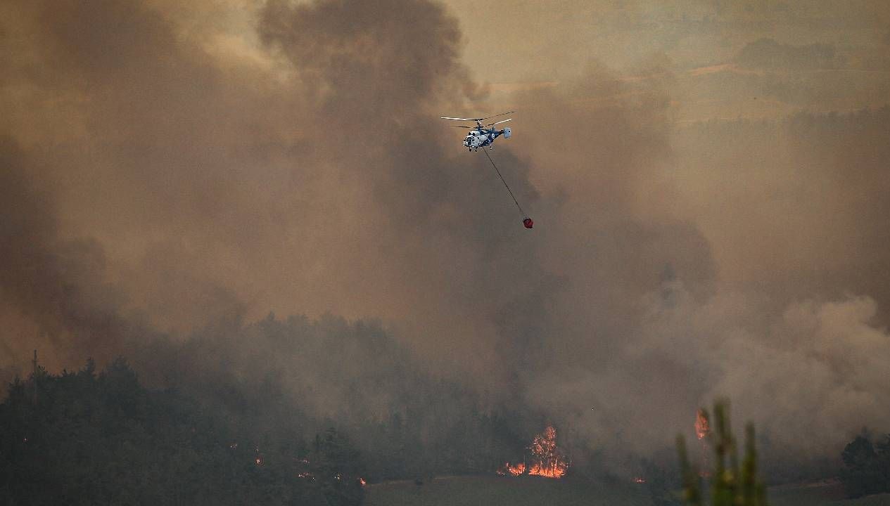 Jandarma: Orman yangınlarına ilişkin 11 gözaltı