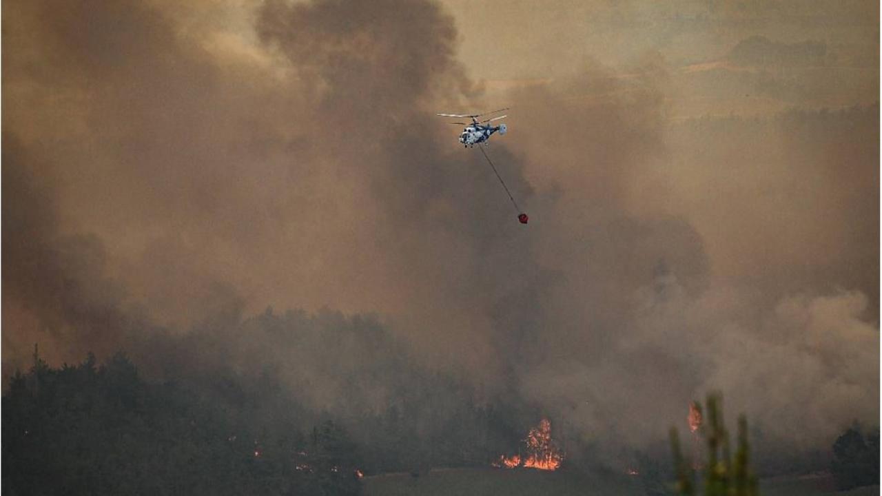 Jandarma: Orman yangınlarına ilişkin 11 gözaltı