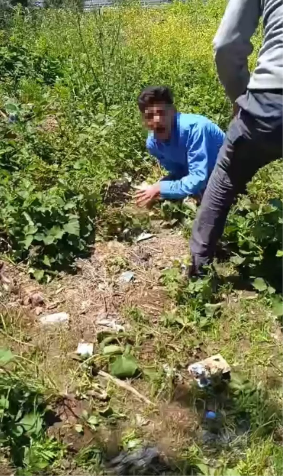 Kasklı Saldırgan Gençleri Darp Etti