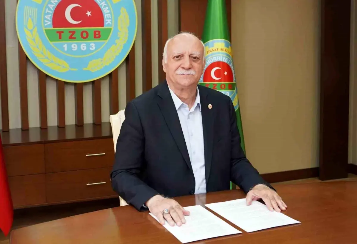 Kurbanlık Fiyatları 2025 Tahminleri ve Güncel Durum