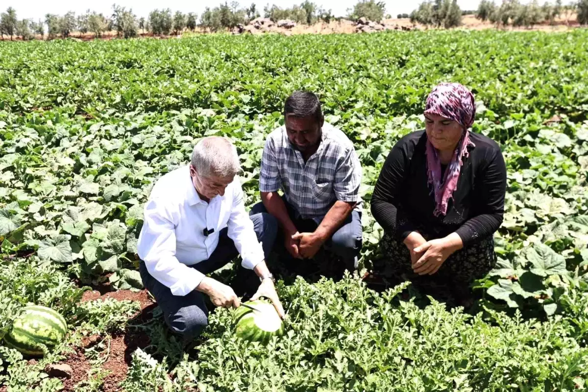 Şahinbey Belediyesi'nden Çiftçilere Fide Desteği