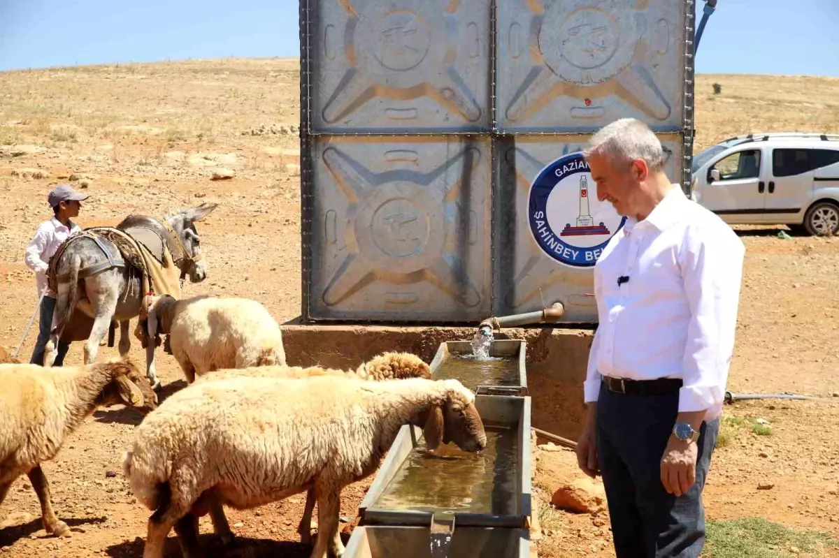 Şahinbey Belediyesi'nden Hayvancılığa Destek: 11 Su Kuyusu Açıldı