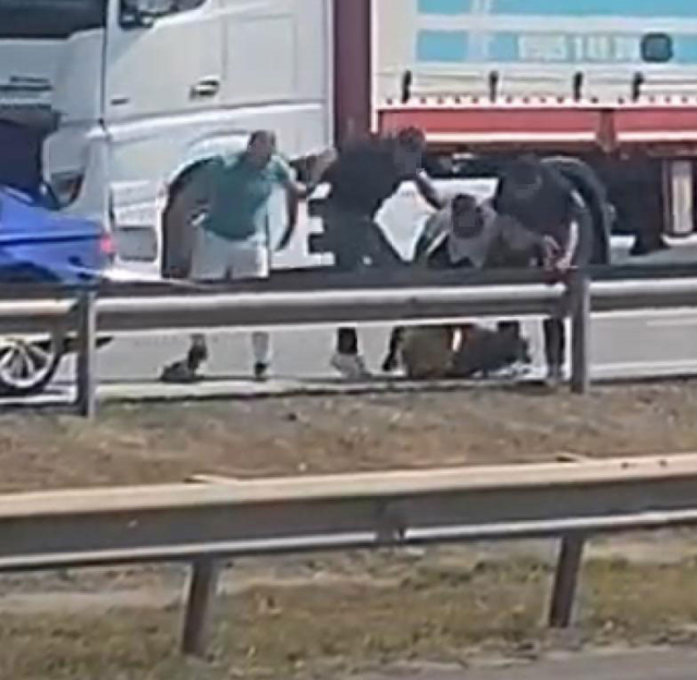 TAG Otoyolunda Kavga: Sürücü Darbedildi