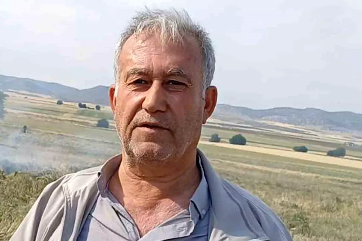 Güneydoğu Anadolu bölgesinin tahıl ambarı olarak bilinen Araban ilçesinde 2025 yılı buğday ve arpa hasadının başlamasıyla birlikte TMO'nun randevu sistemiyle alım yapacağı bildirildi.