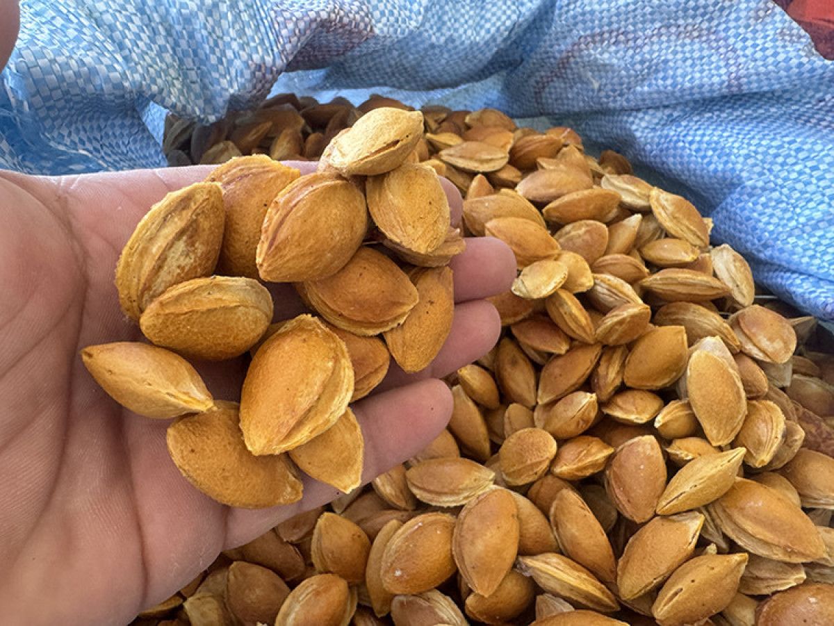 81 İlde 324 Yeni Proje ile Yerel Kalkınma Hamlesi