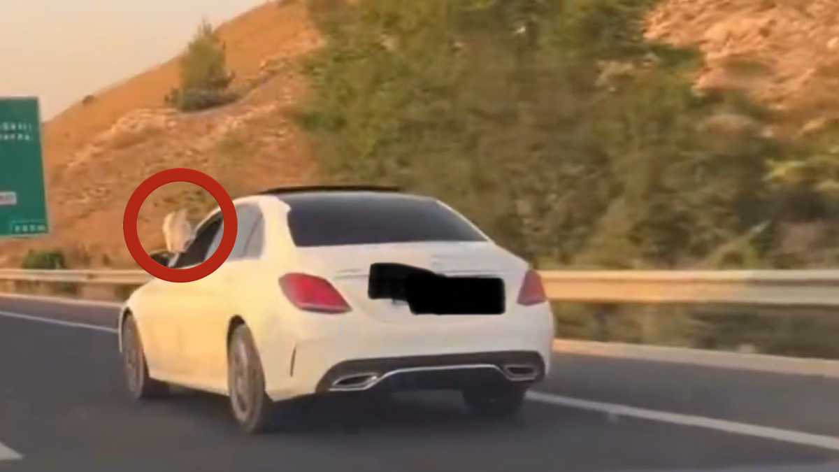 Başsavcının Çakarlı Araçta Ayaklarını Sarktığı Görüntüler Tepki Çekti