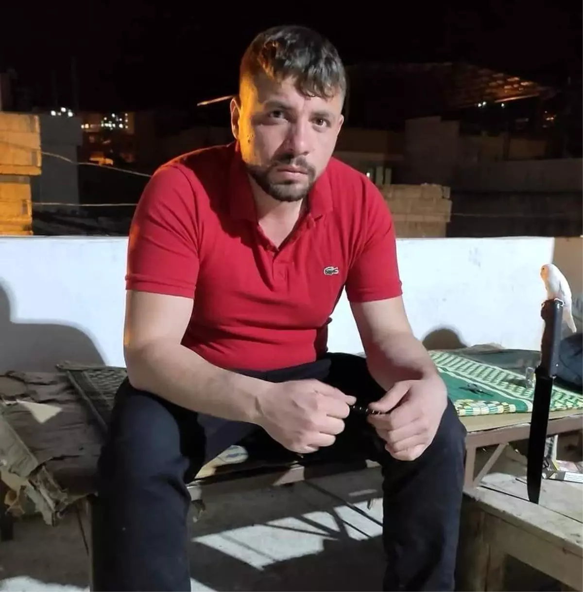 Gaziantep'te Çoban Cinayeti: Salih Elbir Hayatını Kaybetti