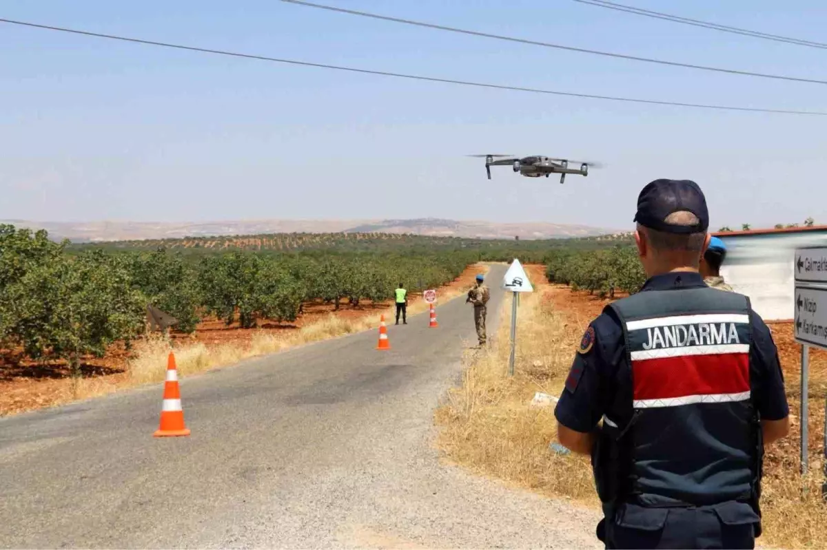 Gaziantep'te Fıstık Hırsızlığına Karşı Güvenlik Önlemleri Artırıldı