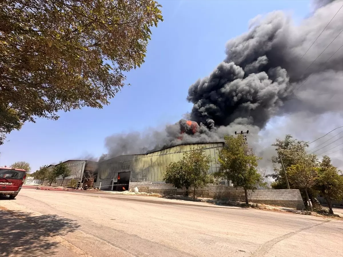 Gaziantep'te Halı Fabrikasında Yangın Çıktı
