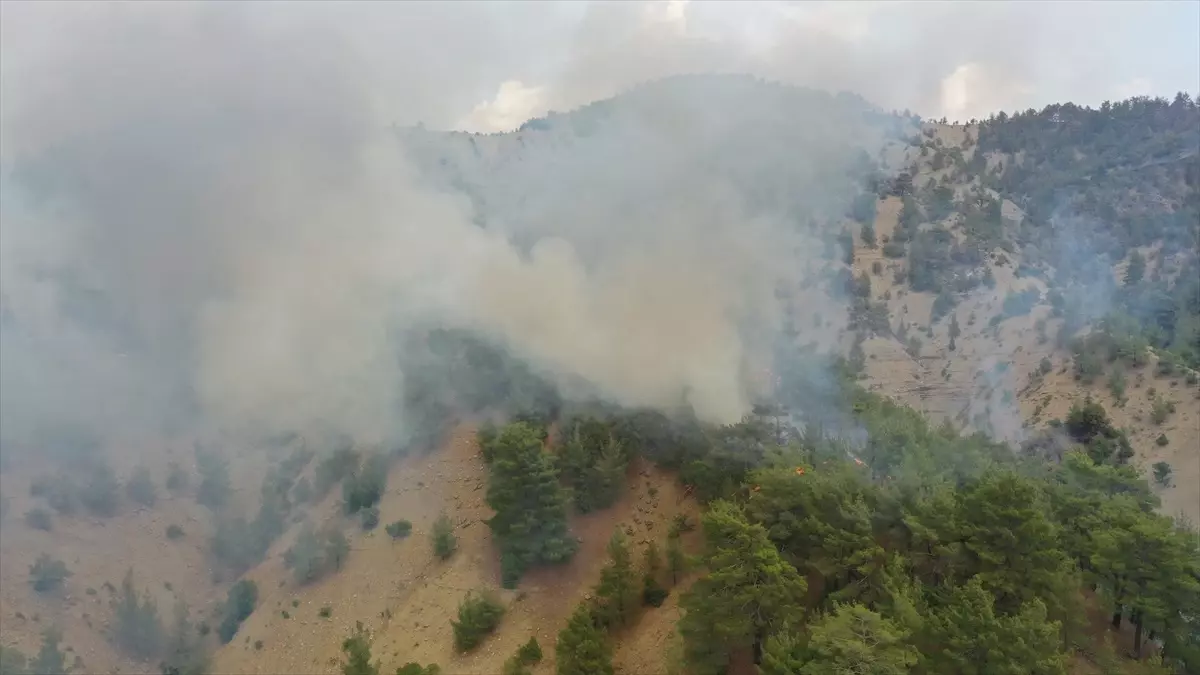 Kahramanmaraş'taki Orman Yangını Kontrol Altında