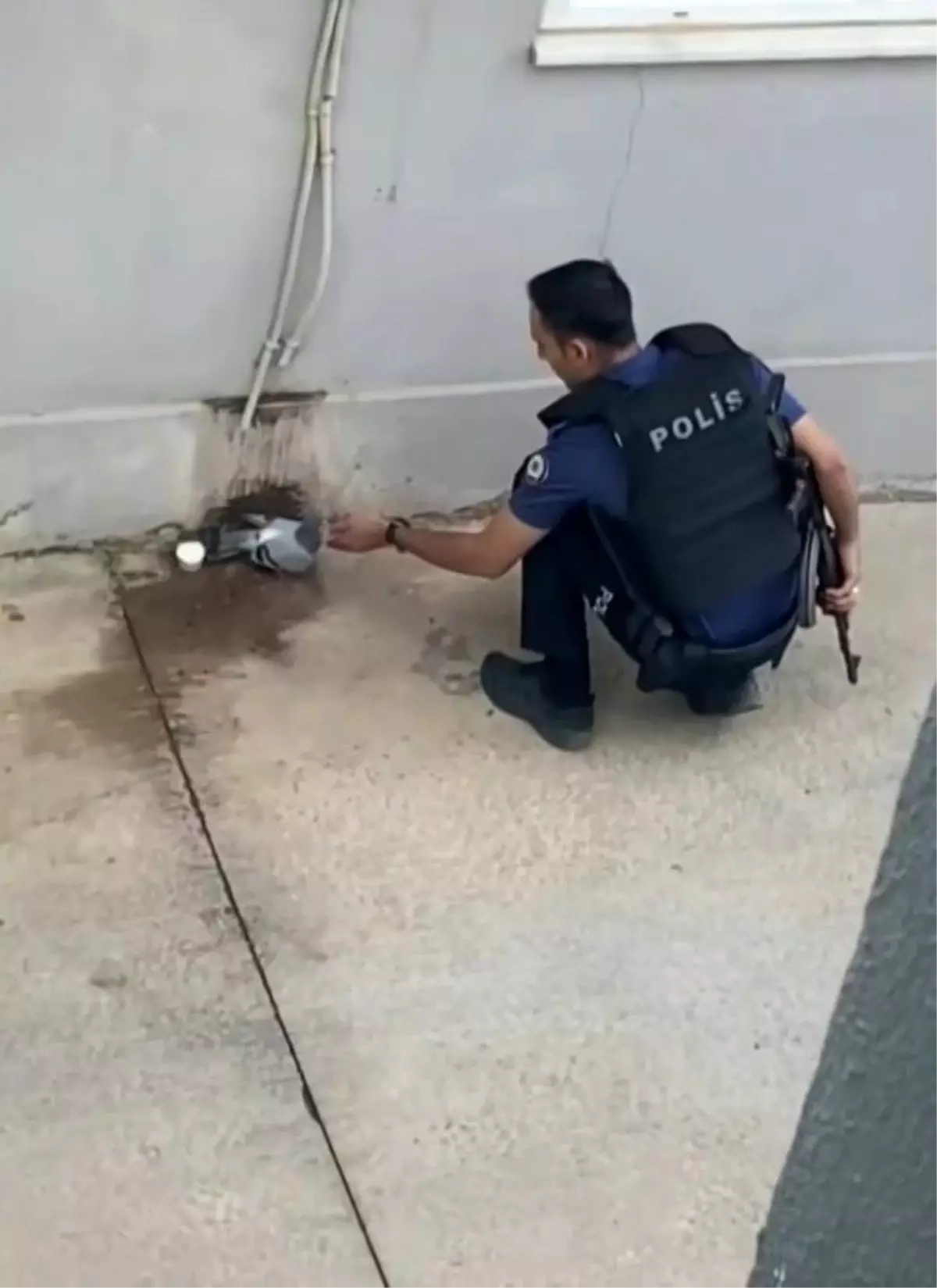 Polis Memurundan Merhamet Dolu An: Susuz Güvercine Su Verdi