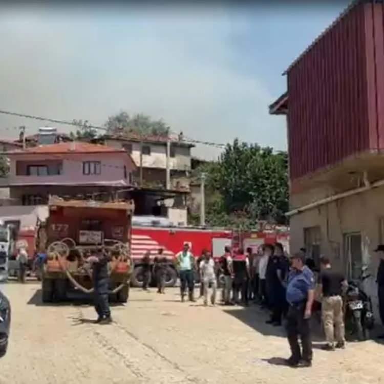 Türkiye’de Orman Yangınları: Son Durum ve Gelişmeler