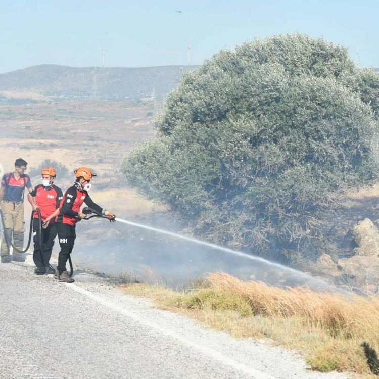 Türkiye’de Orman Yangınları: Son Durum ve Gelişmeler