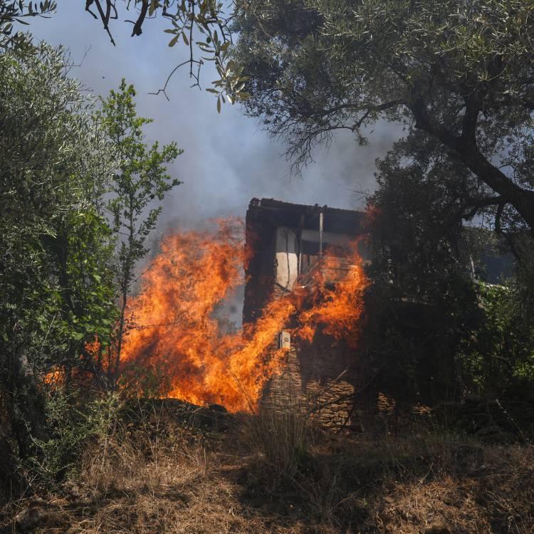 Türkiye’de Orman Yangınları: Son Durum ve Gelişmeler