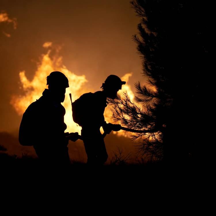 Türkiye’de Orman Yangınları: Son Durum ve Gelişmeler