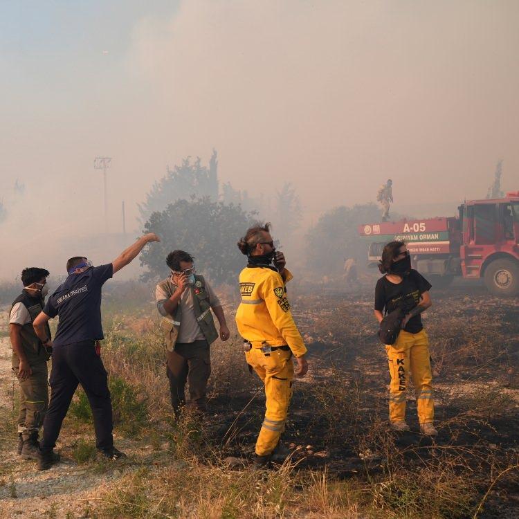 Türkiye’de Orman Yangınları: Son Durum ve Gelişmeler
