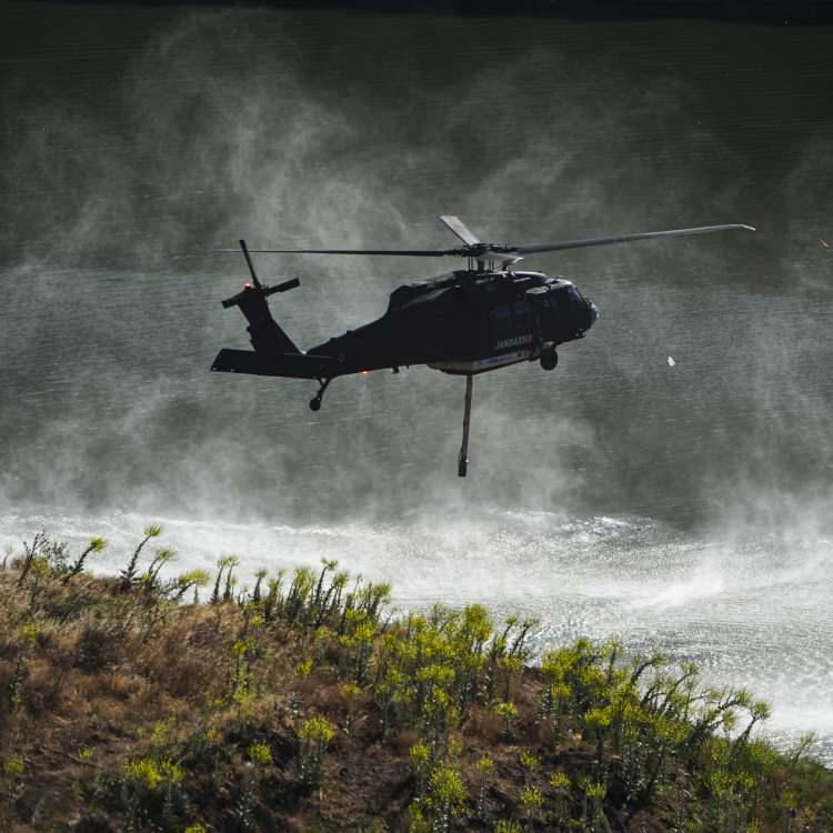 Türkiye’de Orman Yangınları: Son Durum ve Gelişmeler