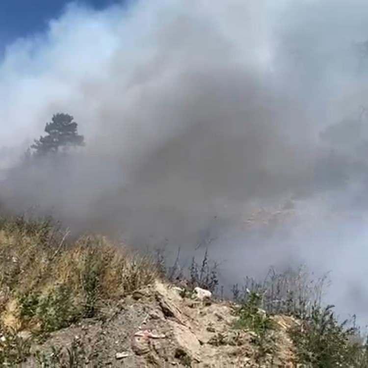 Türkiye’de Orman Yangınları: Son Durum ve Gelişmeler