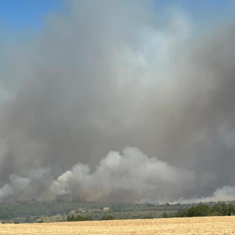Türkiye’de Orman Yangınları: Son Durum ve Gelişmeler