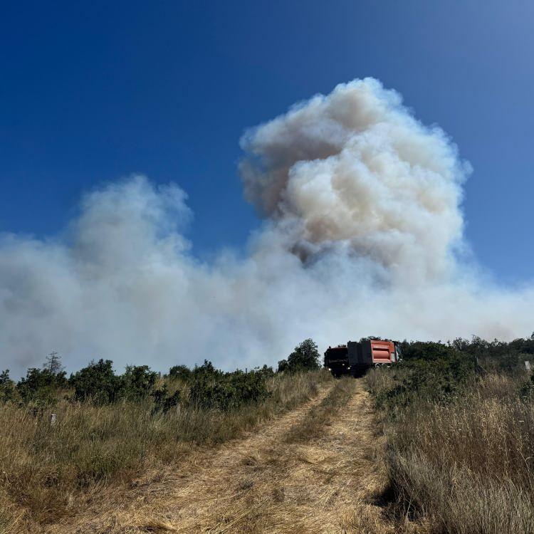 Türkiye’de Orman Yangınları: Son Durum ve Gelişmeler