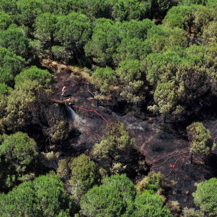 Türkiye’de Orman Yangınları: Son Durum ve Gelişmeler
