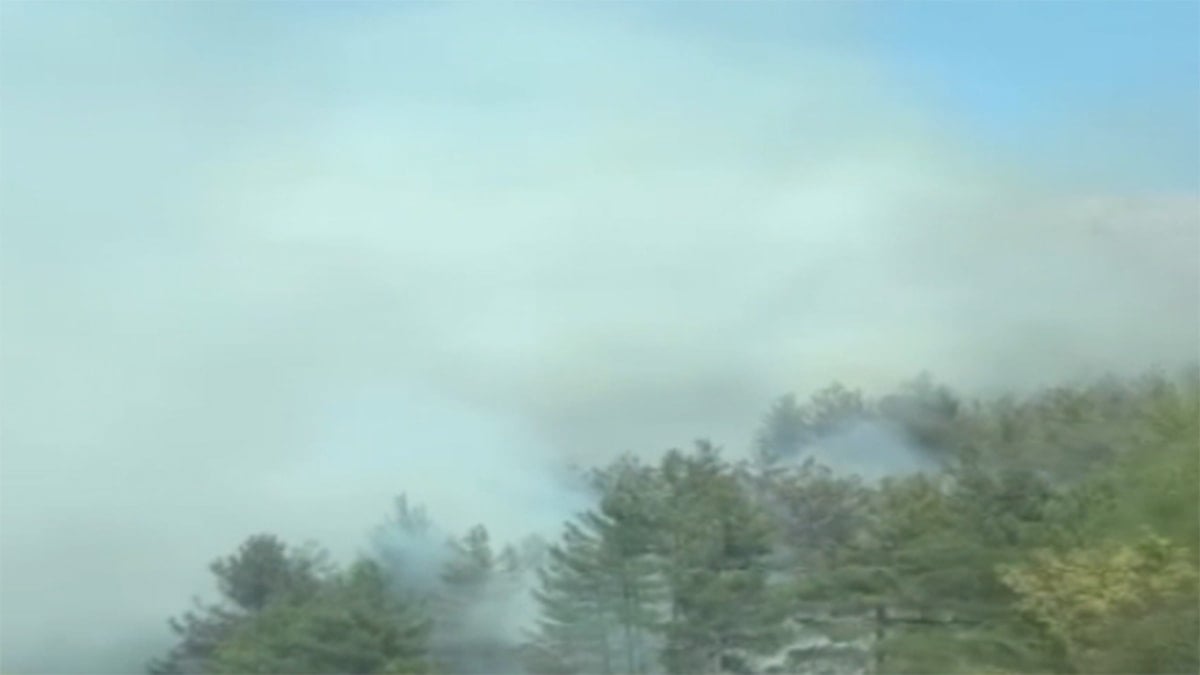 Adana Pozantı'da Otomobil Kaynaklı Orman Yangını