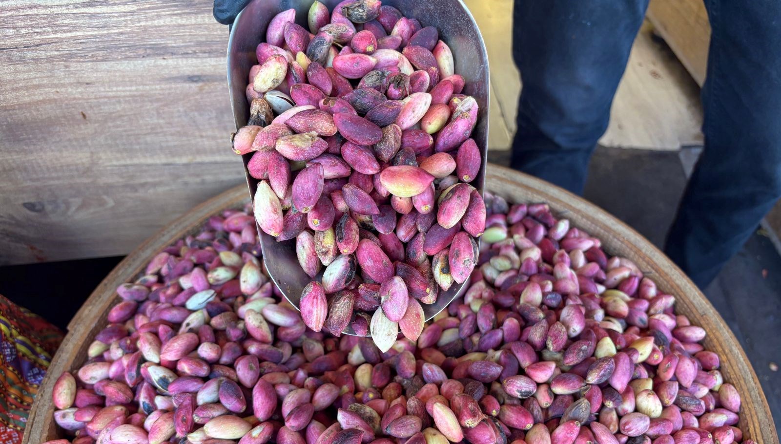 Aşırı Sıcaklar Antep Fıstığı Hasadını Öne Çekti: Kilo Fiyatı 500 Lira