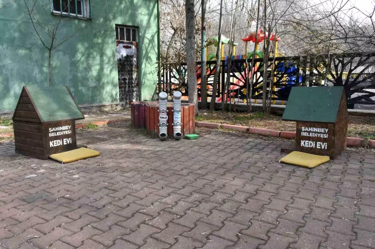 Başkan Tahmazoğlu'ndan Sokak Hayvanlarına Su Çağrısı