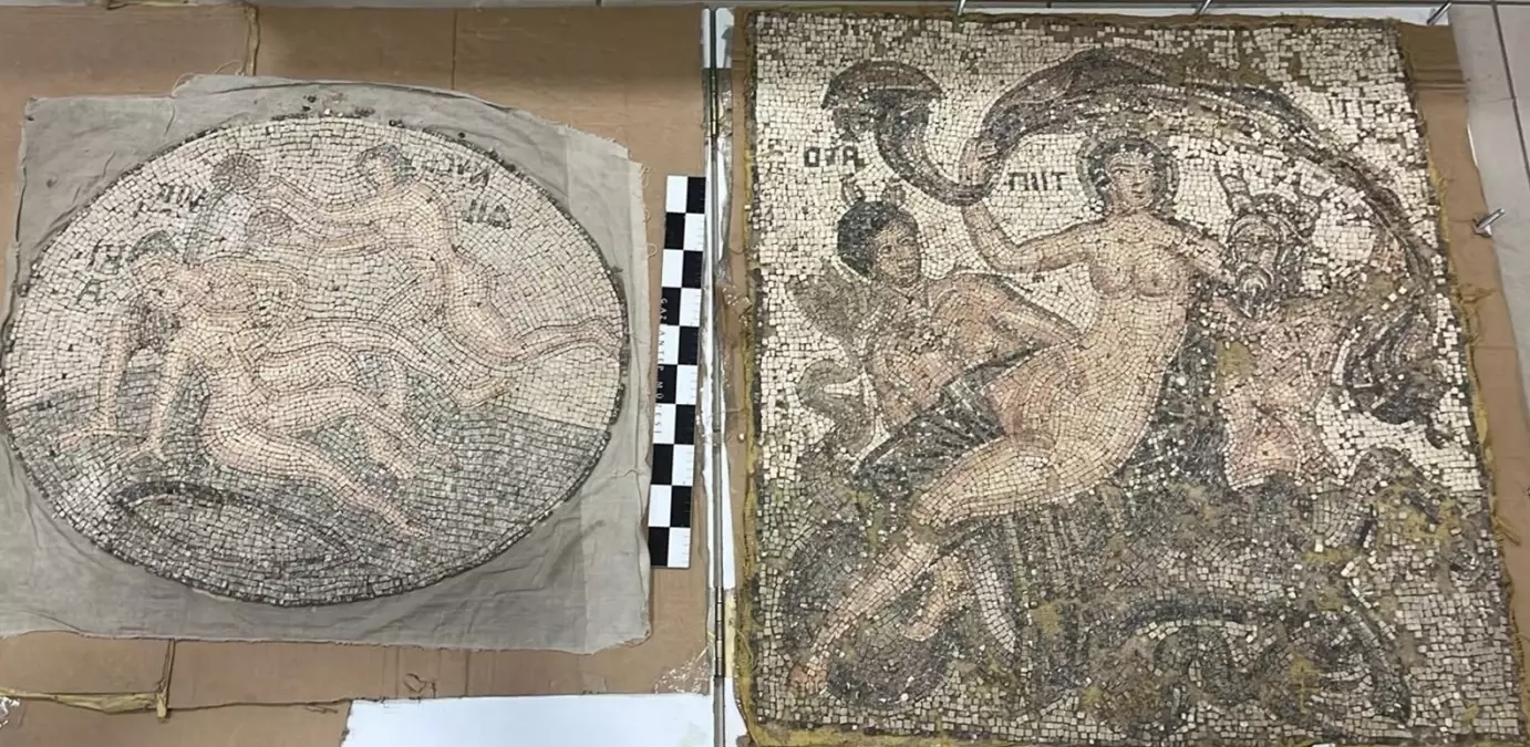 Gaziantep Nurdağı'nda Tarihi Mozaiklere Yönelik Jandarma Operasyonu: 3 Şüpheli Gözaltında