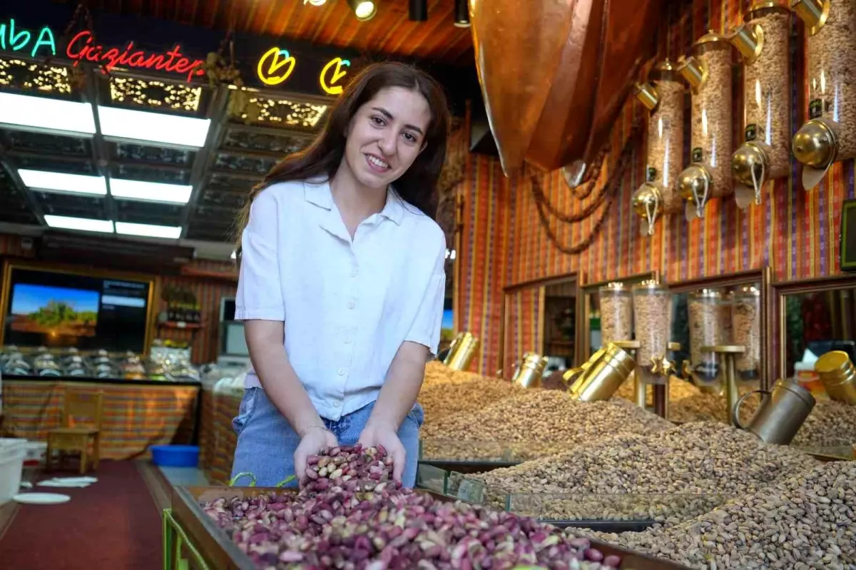 Gaziantep'te 2023 Yılı Antep Fıstığı Hasadında Rekor Fiyatlar ve Verim Düşüşü