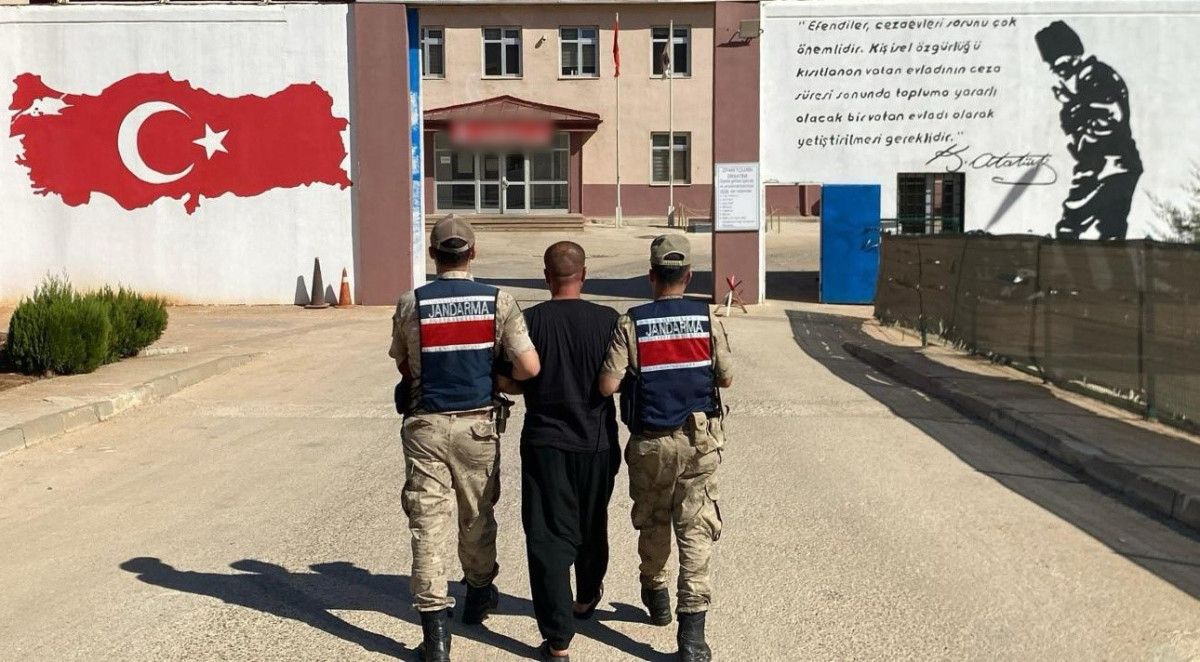 Gaziantep'te 428 Kök Kenevir Ele Geçirildi, 5 Şahıs Tutuklandı