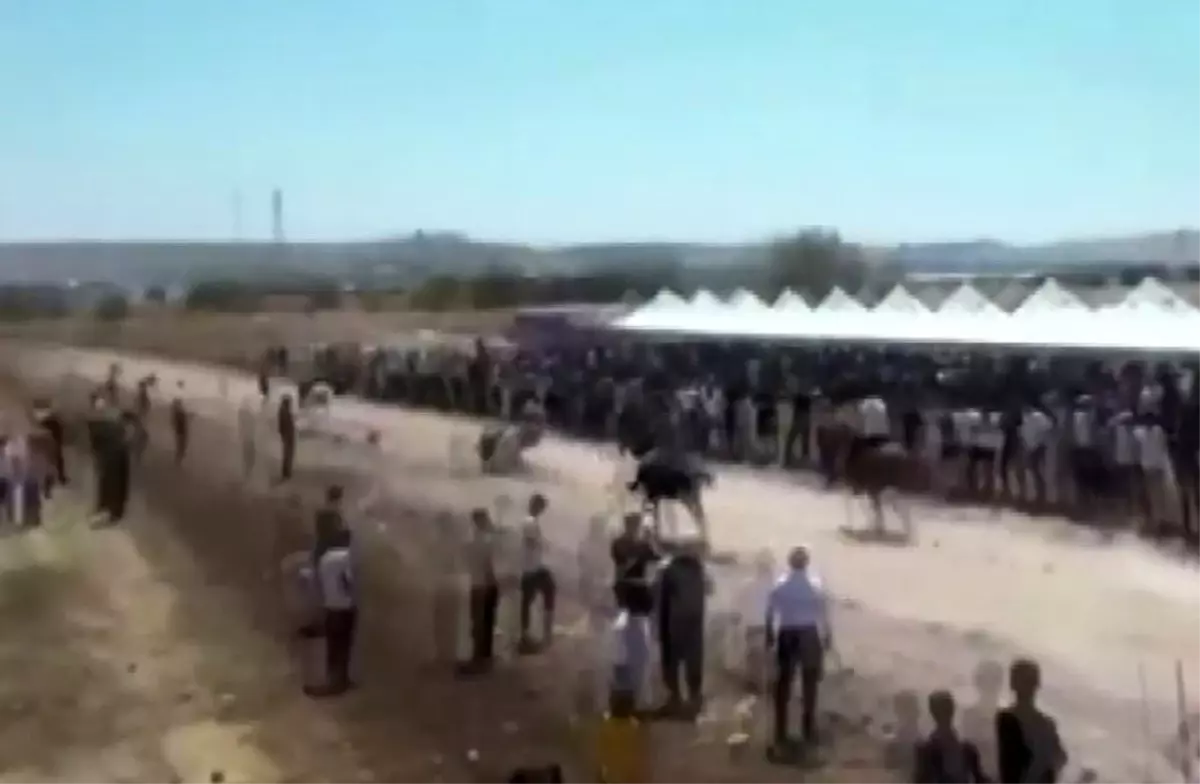 Gaziantep'te At Yarışları Festivali'nde Eski AK Parti İlçe Başkanı Ağır Yaralandı