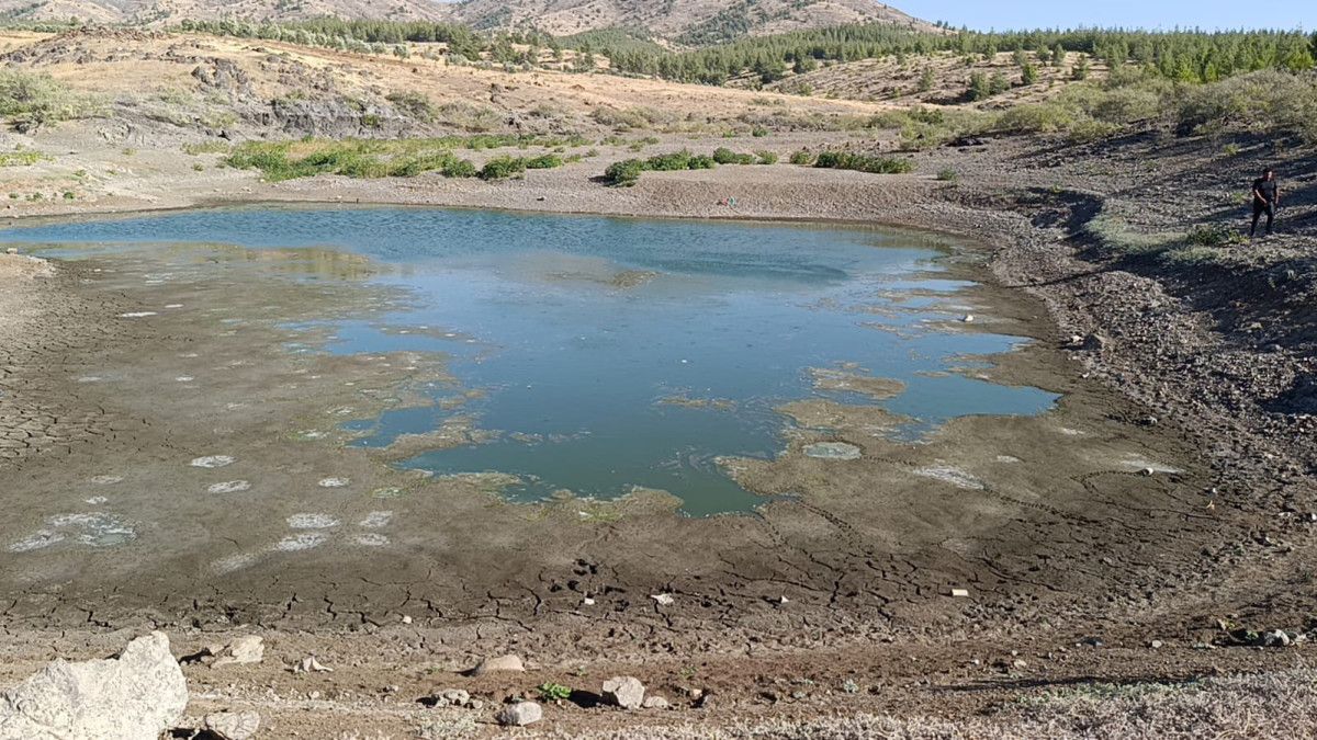 Gaziantep'te Barajdaki Su Seviyesi Düştü, Balıklar Telef Oluyor