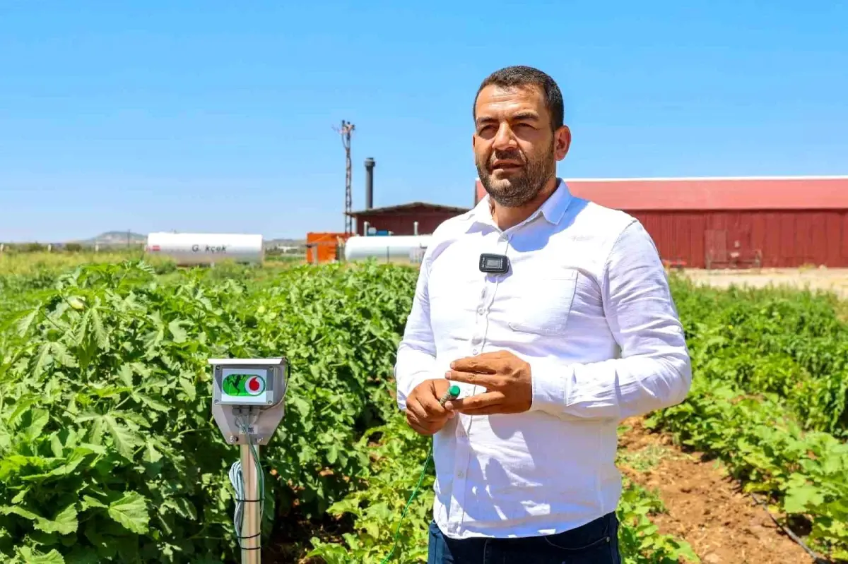 Gaziantep'te Kadın Çiftçilerle Ata Tohumları Yeniden Canlanıyor