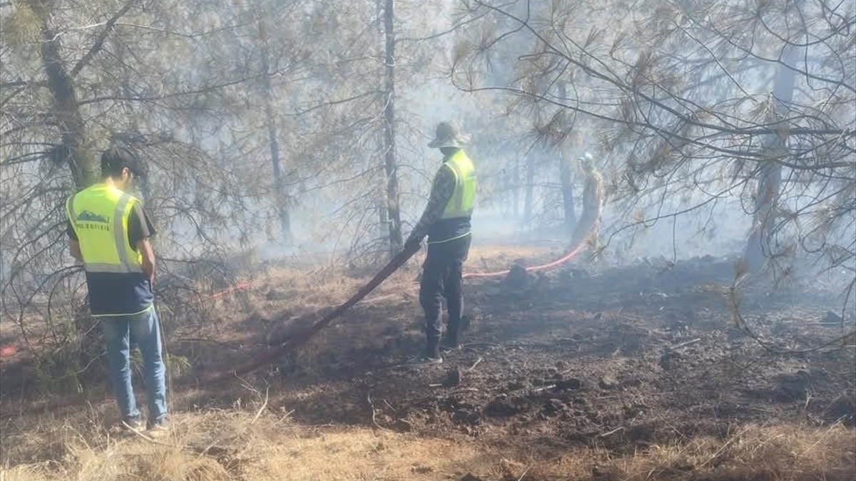 Gaziantep'te Orman Yangını Paniği: 5 Hektar Zarar Gördü